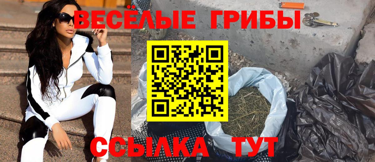 Таганрог  Галлюциногенные грибы MAGIC MUSHROOMS  Вход с VPN 