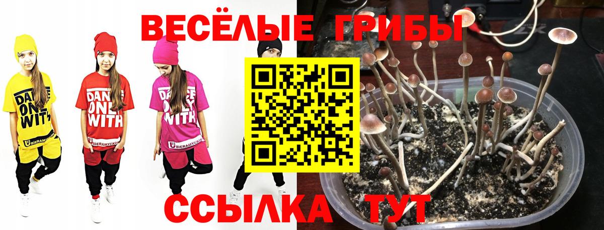 Галлюциногенные грибы ЛСД Таганрог